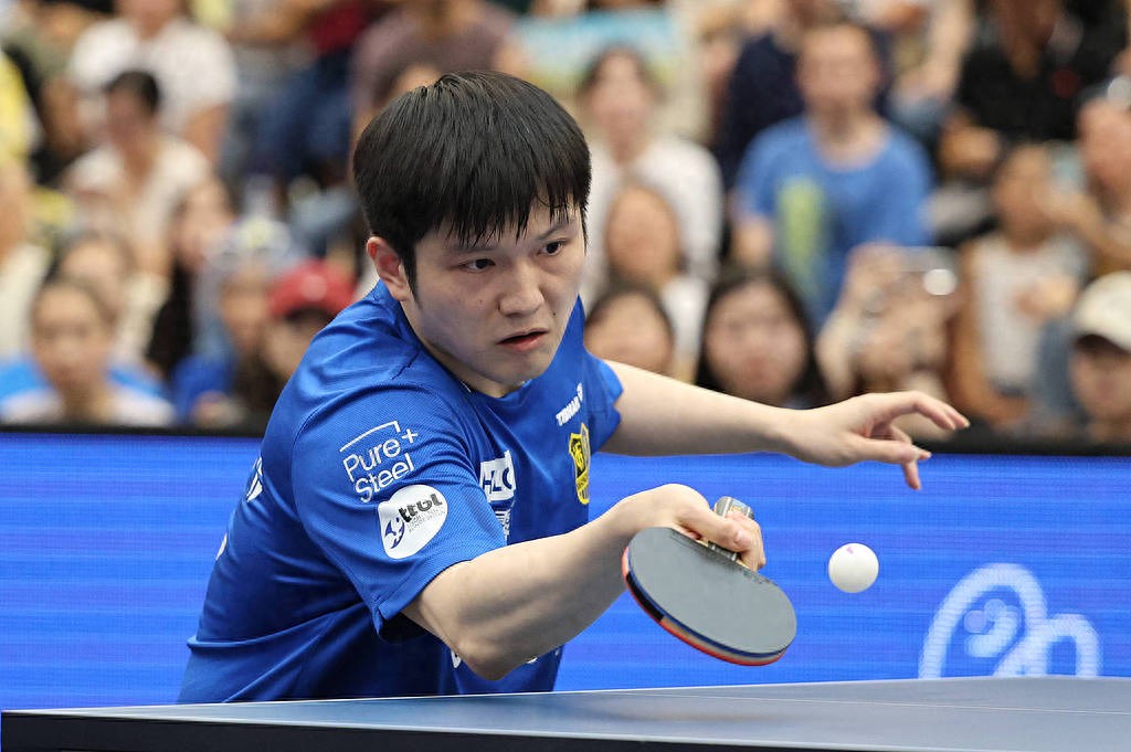 葡萄牙队绝杀德国队,樊振东惊艳四座 葡萄牙队绝杀德国队,樊振东惊艳四座