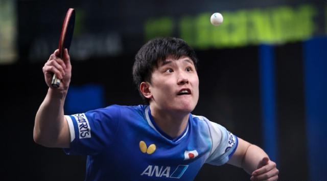波兰队轻取日本队，张本智和扛起全队